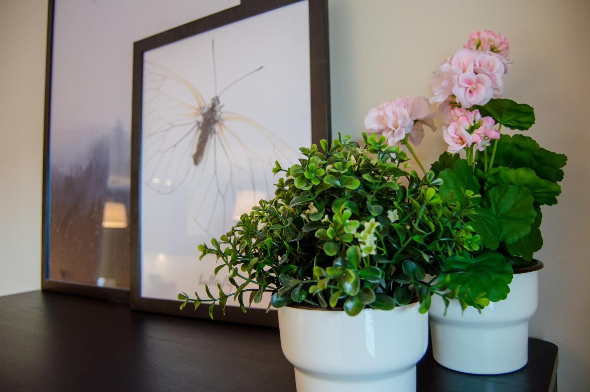 Grand Apartments - Apartments Spa Waterlane Island 格但斯克 外观 照片